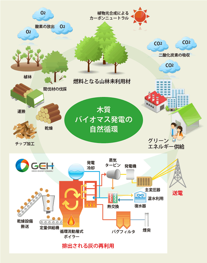 カーボンニュートラルについて