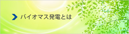バイオマス発電とは